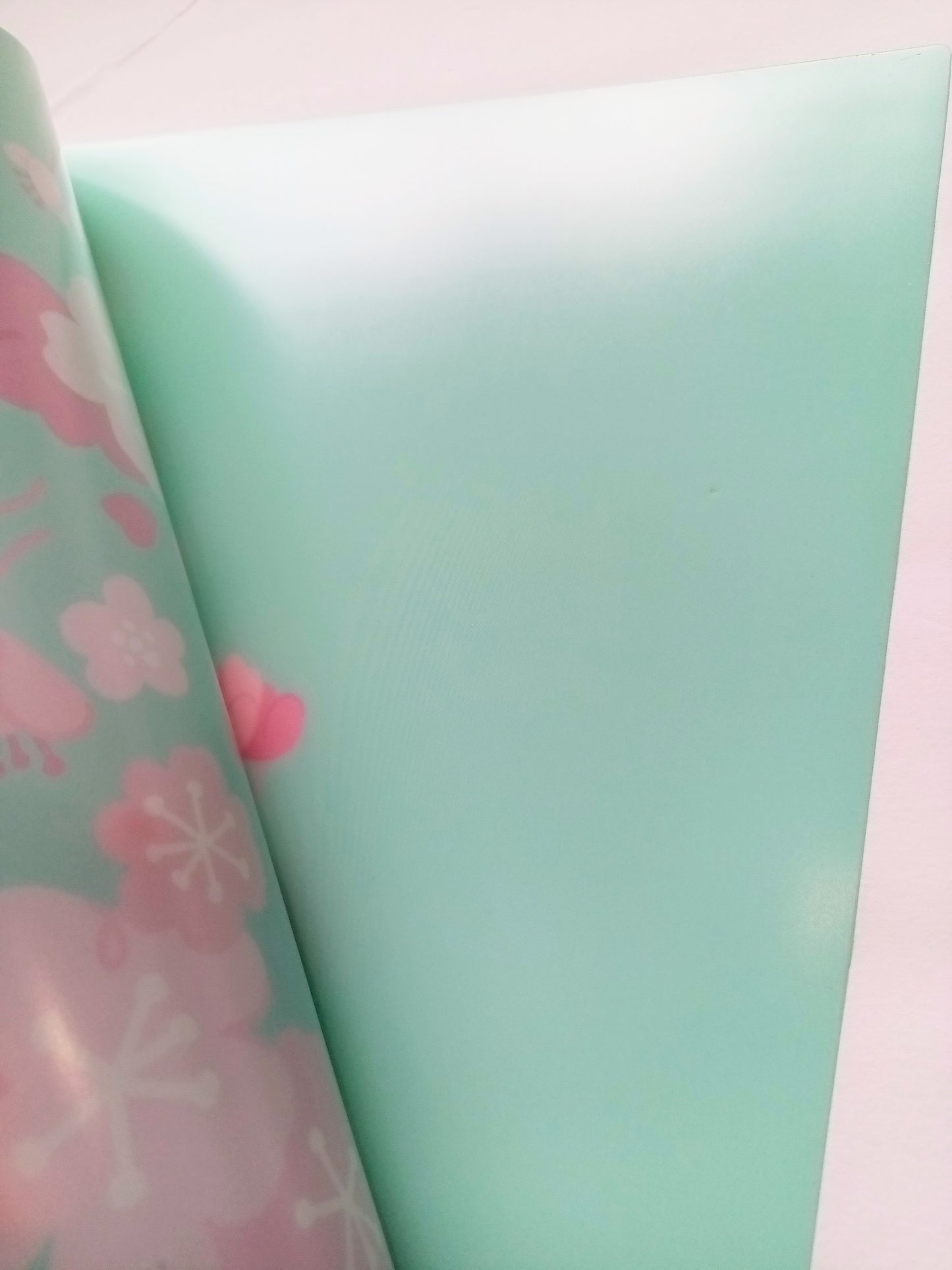 BT21 Cherry Blossom File Folders