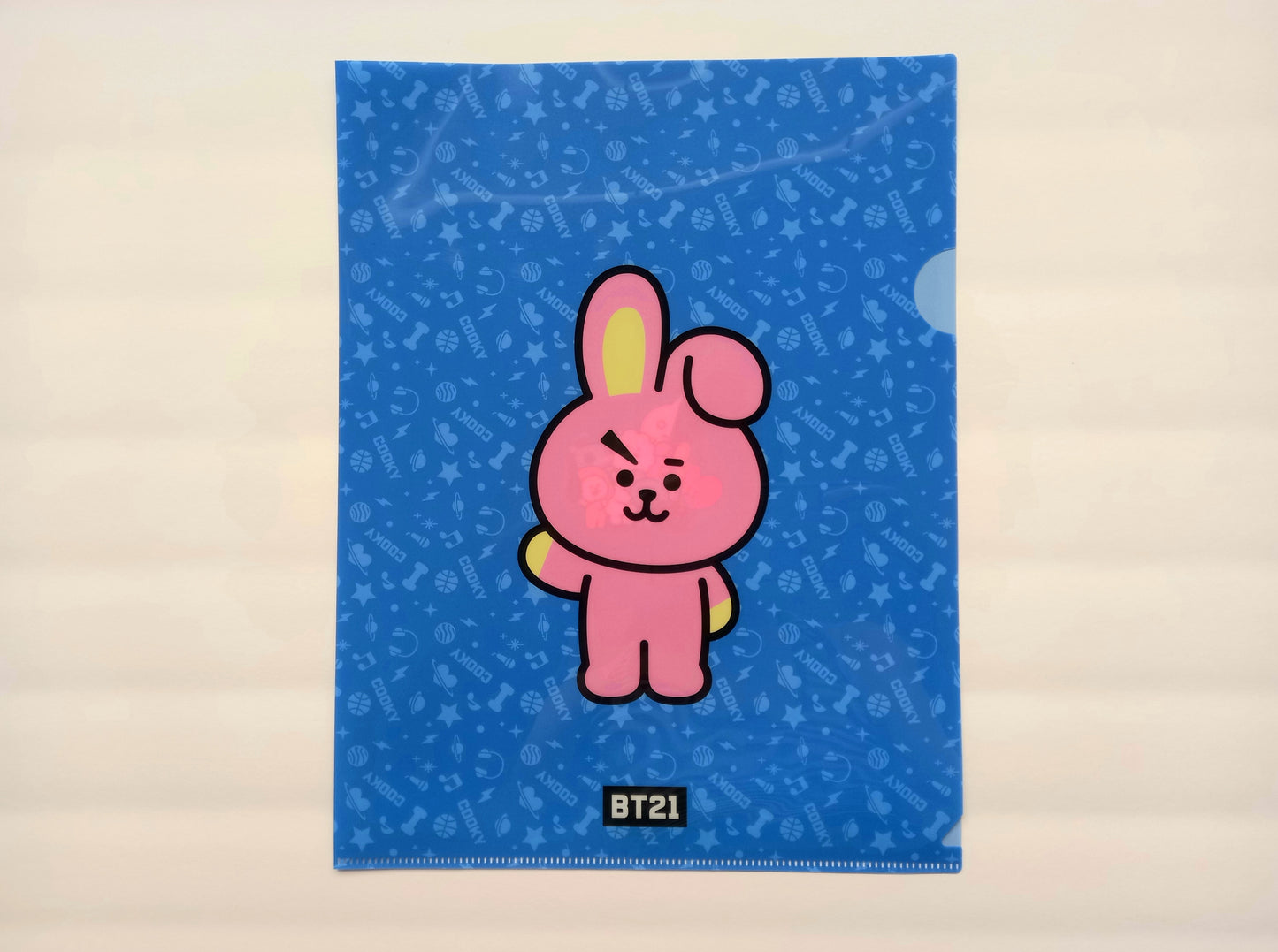 BT21 File Folders Minimalistic Version